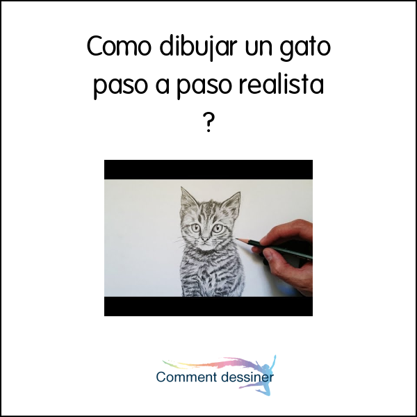 Como Dibujar Un Gato Paso A Paso Realista Como Dibujar