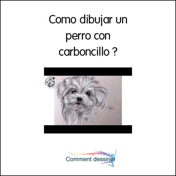 Como dibujar un perro con carboncillo